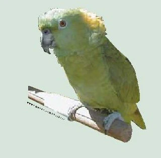 Aq 0102 13pg 0001