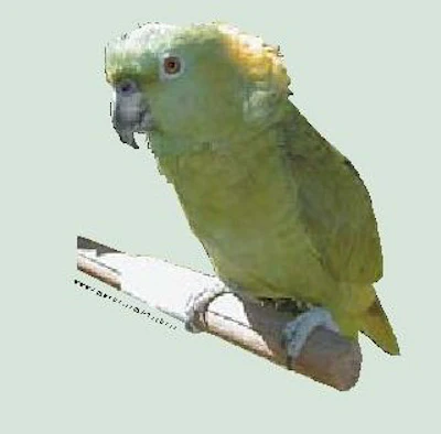 Aq 0102 13pg 0001