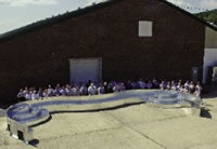 0308 15c