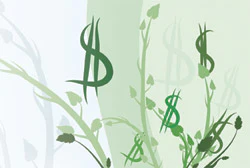 Green Autoopen
