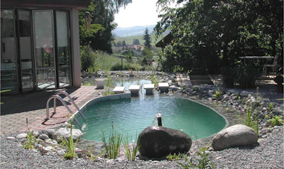 photo of natural pool in Texas