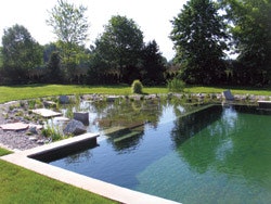 photo of green-treated pool