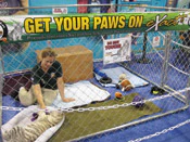 photo of Mohan the tiger cub at the Industrial Test Systems booth