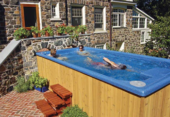 photo of swim spa in backyard