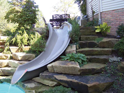 DolphinWaterSlides