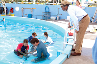 photo of people helping a dolphin in a swimming pool