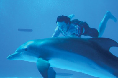 photo of boy riding a dolphin