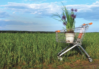 photo of grocery cart with a flower pot in a field