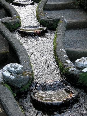 photo of Mark Holden project