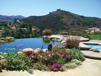 photo of garden with vanishing-edge pond
