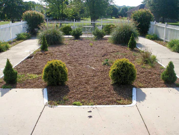 photo of pool turned into a garden