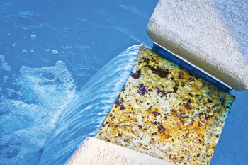 photo of Renaissance Pools and Spas project