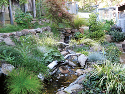 image of landscaping stream by Rick Driemeyer of Both Sides of the Door