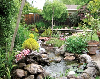 image of landscaping stream by Rick Driemeyer of Both Sides of the Door