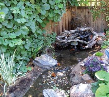 image of landscaping stream by Rick Driemeyer of Both Sides of the Door