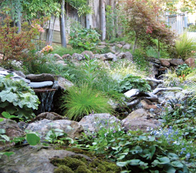 image of landscaping stream by Rick Driemeyer of Both Sides of the Door