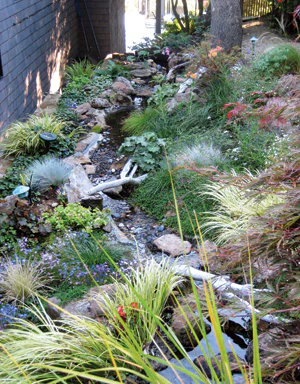 image of landscaping stream by Rick Driemeyer of Both Sides of the Door
