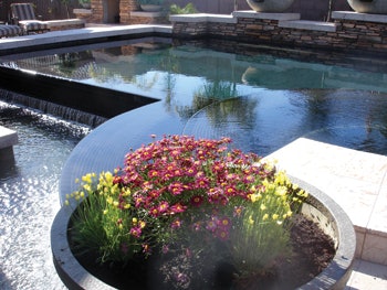 Image of complex pool with multi-level water features