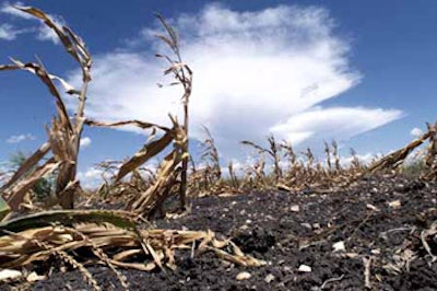 photo of drought