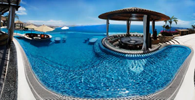 photo of Xavier Alvarez Gold-Winning freeform pool