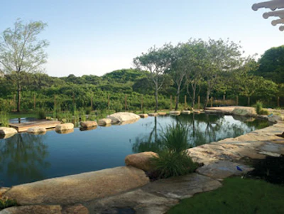 The dark interior color of the pool provides a beautifully reflective surface accentuating the surrounding views.