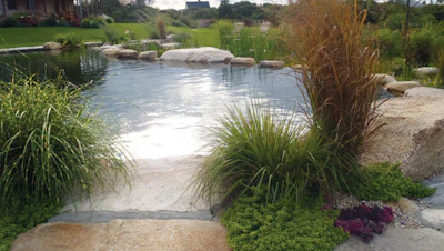 Although very much a swimming pool, the design includes a number of organic elements that lend the work a naturalistic feeling. (Photos courtesy of Jesse Dutra)