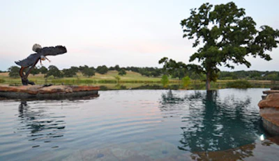 photo of the Claffey Pools' award-winning pool