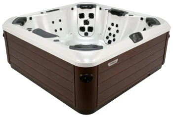 Bullfrog Spas