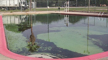 A hurricane-affected pool.
