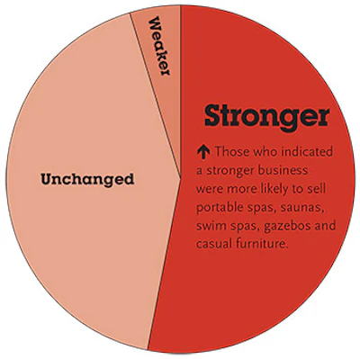 pie chart showing portable spa business