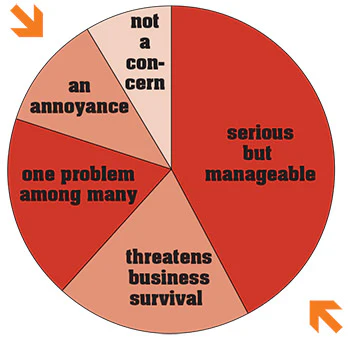 pie chart showing how much of a threat internet competition is to spa retailers