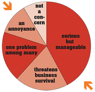 pie chart showing how much of a threat internet competition is to spa retailers