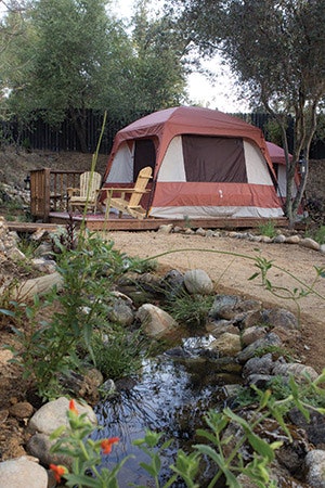 photo of campground using aquatic landscaping
