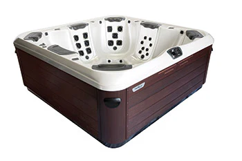 Bullfrog Spas