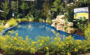 photo of a pool display at a home show