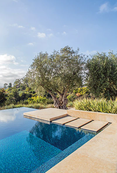 photo of custom swimming pool and spa