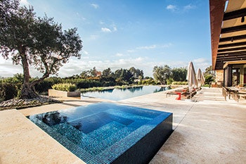 photo of custom swimming pool and spa