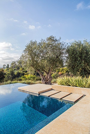 photo of custom swimming pool and spa