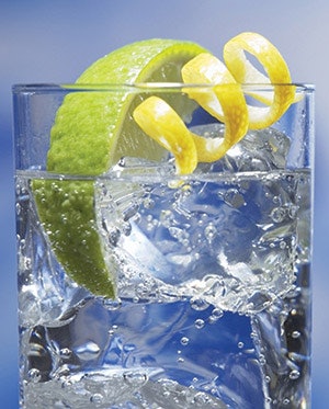 photo of gin on ice with limes