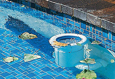 PoolSkim USA
