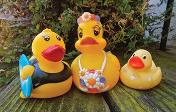 photo of a rubber duck family on a dock