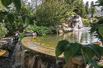 photo of pond features