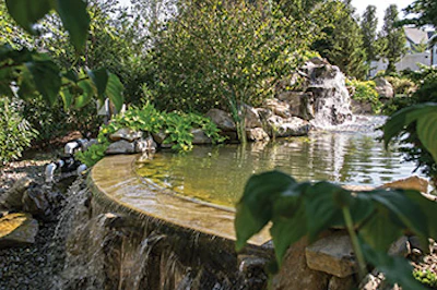 photo of pond features