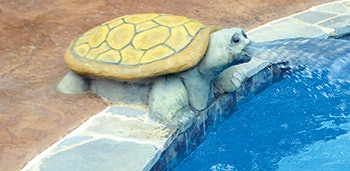 photo of a turtle pool feature