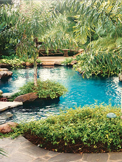 photo of a pool with greenery