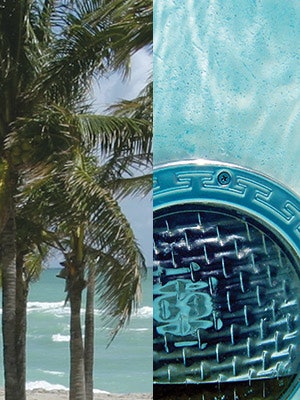 photo of palm trees near the ocean and a pool drain
