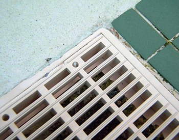 photo of a pool drain cover missing screws