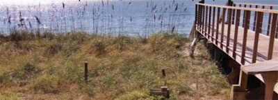photo of a dock on a lake or ocean