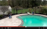 Gli Video1