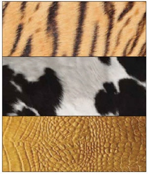photo of pool cover examples